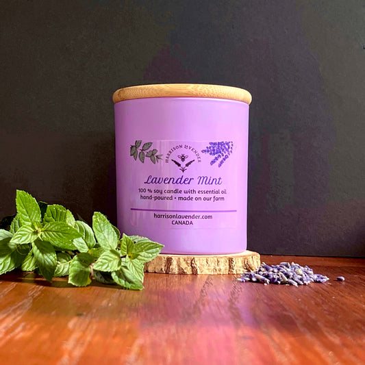 Lavender Mint Soy Candle