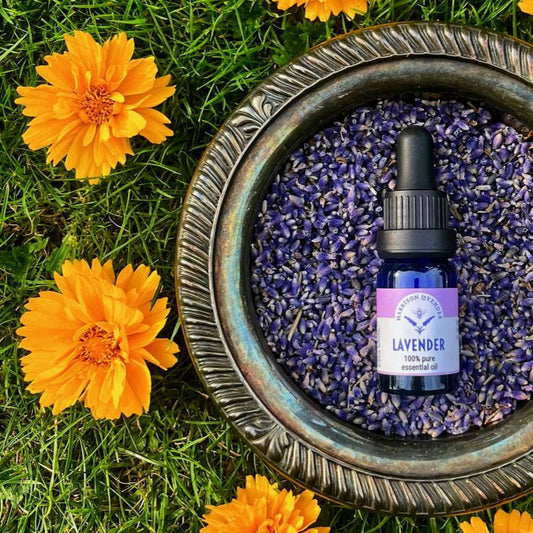 Lavender Essential Oil