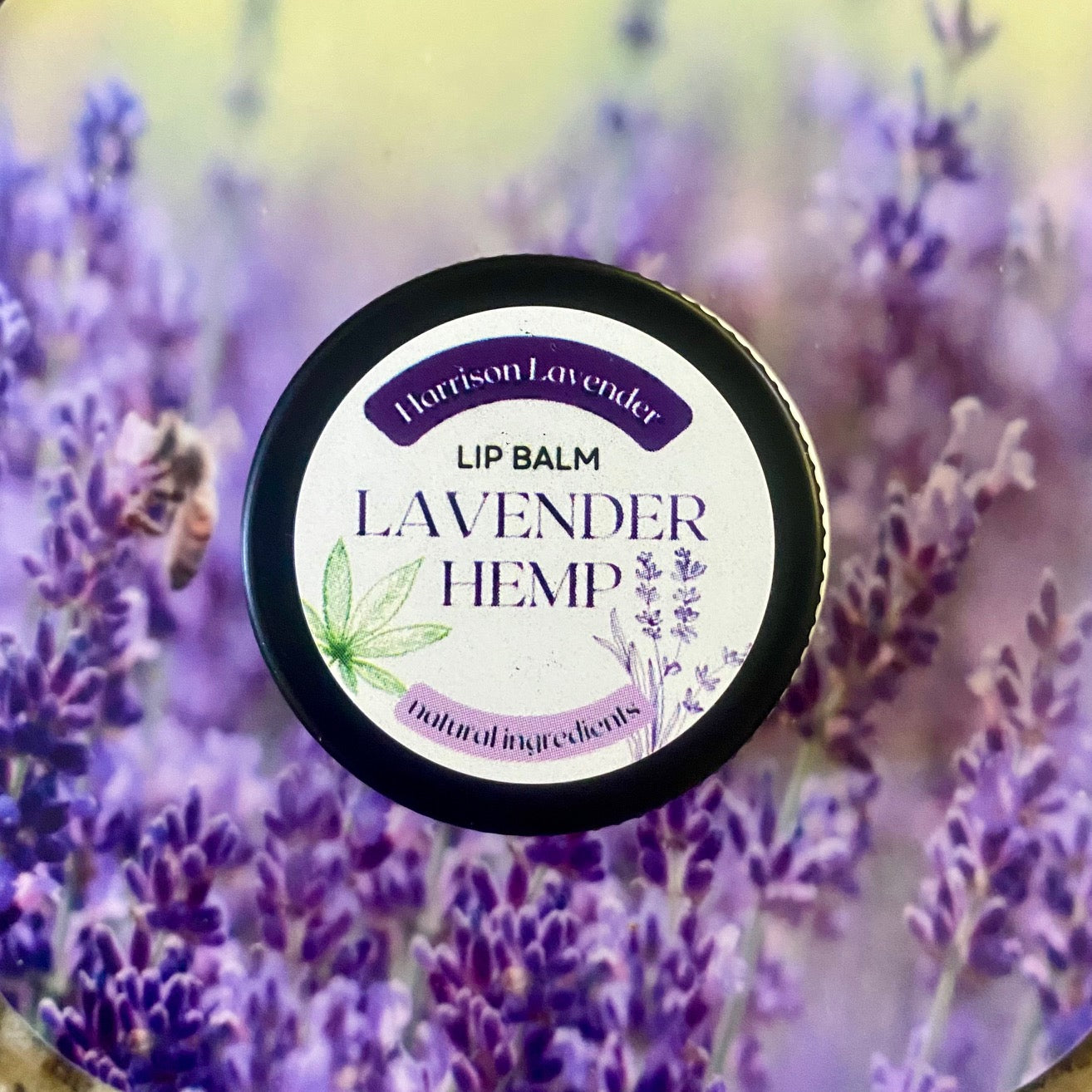 Lavender Hemp Lip Balm