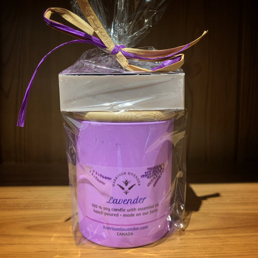 Lavender Gift Bundle