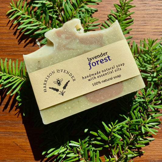 Forest Soap